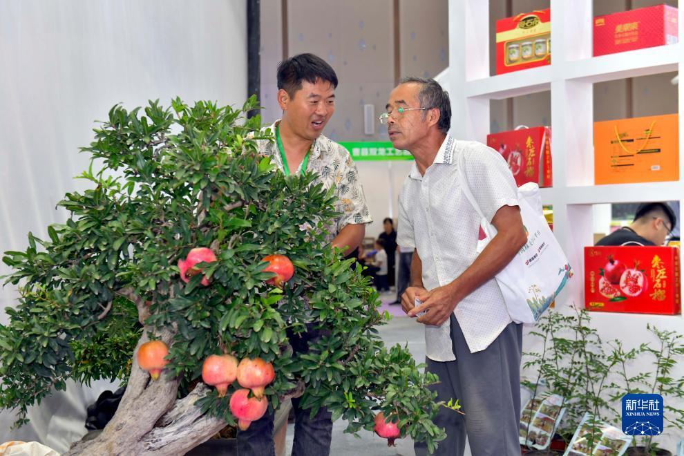 opc客户端